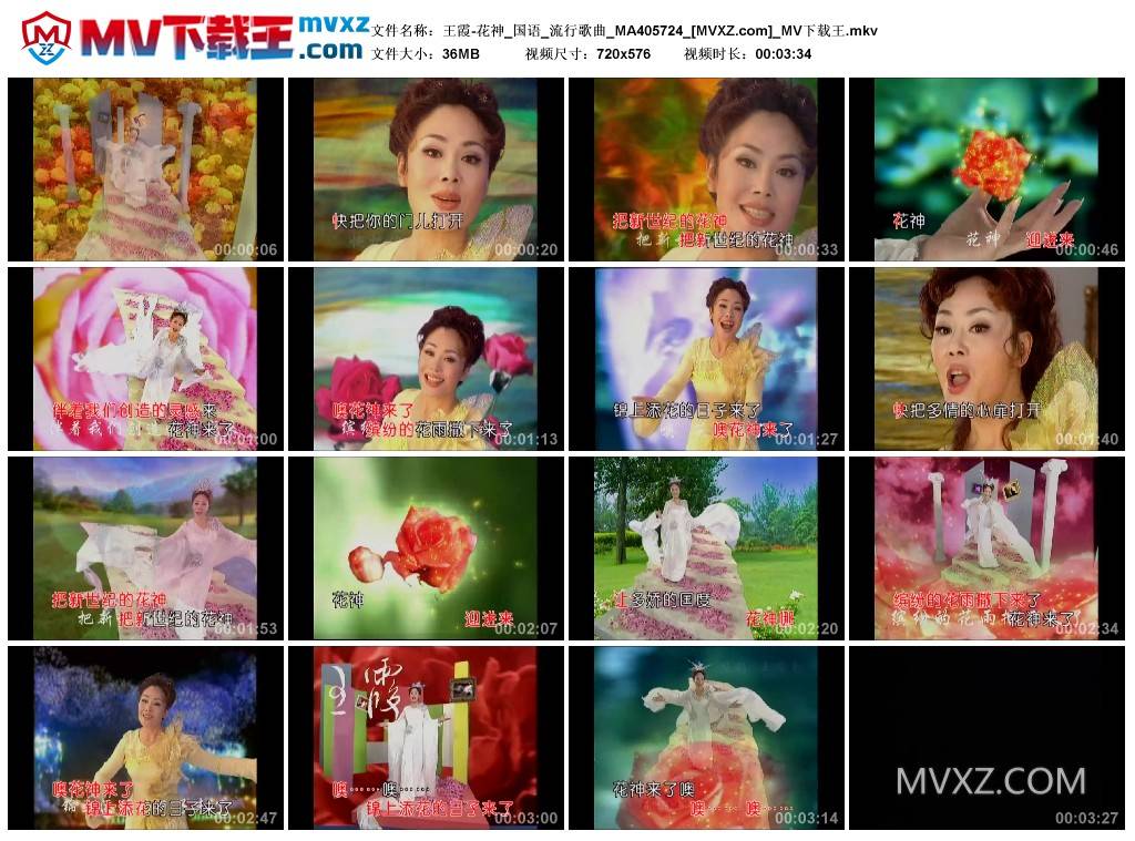王霞-花神_国语_流行歌曲_MA405724